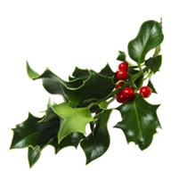 Happy Holidays Happy Holidays